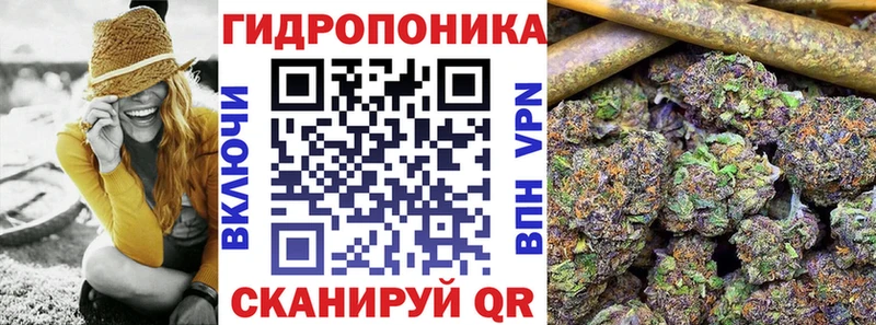 Где купить Салехард Cocaine  LSD-25  Канабис  ГАШ  СОЛЬ 
