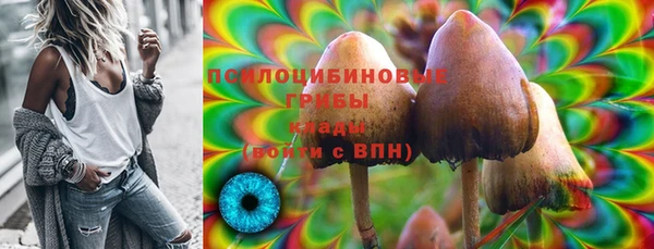 прущая мука Армянск
